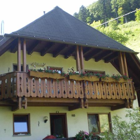 Haus Am Bach Apartman Freiburg im Breisgau Kültér fotó