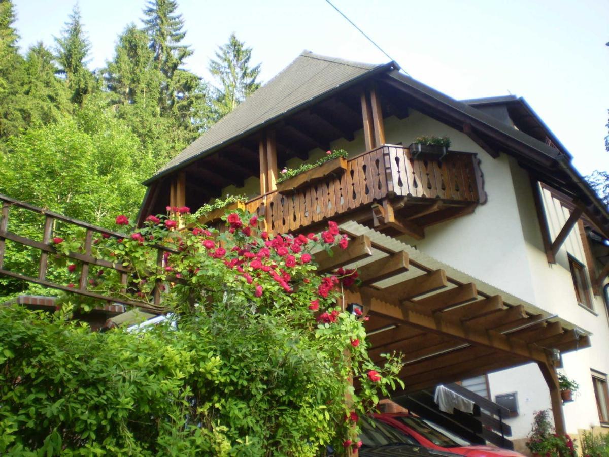 Haus Am Bach Apartman Freiburg im Breisgau Kültér fotó